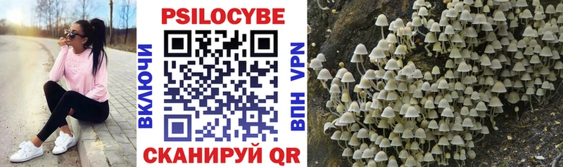 Псилоцибиновые грибы Psilocybine cubensis  где купить наркоту  Бежецк 